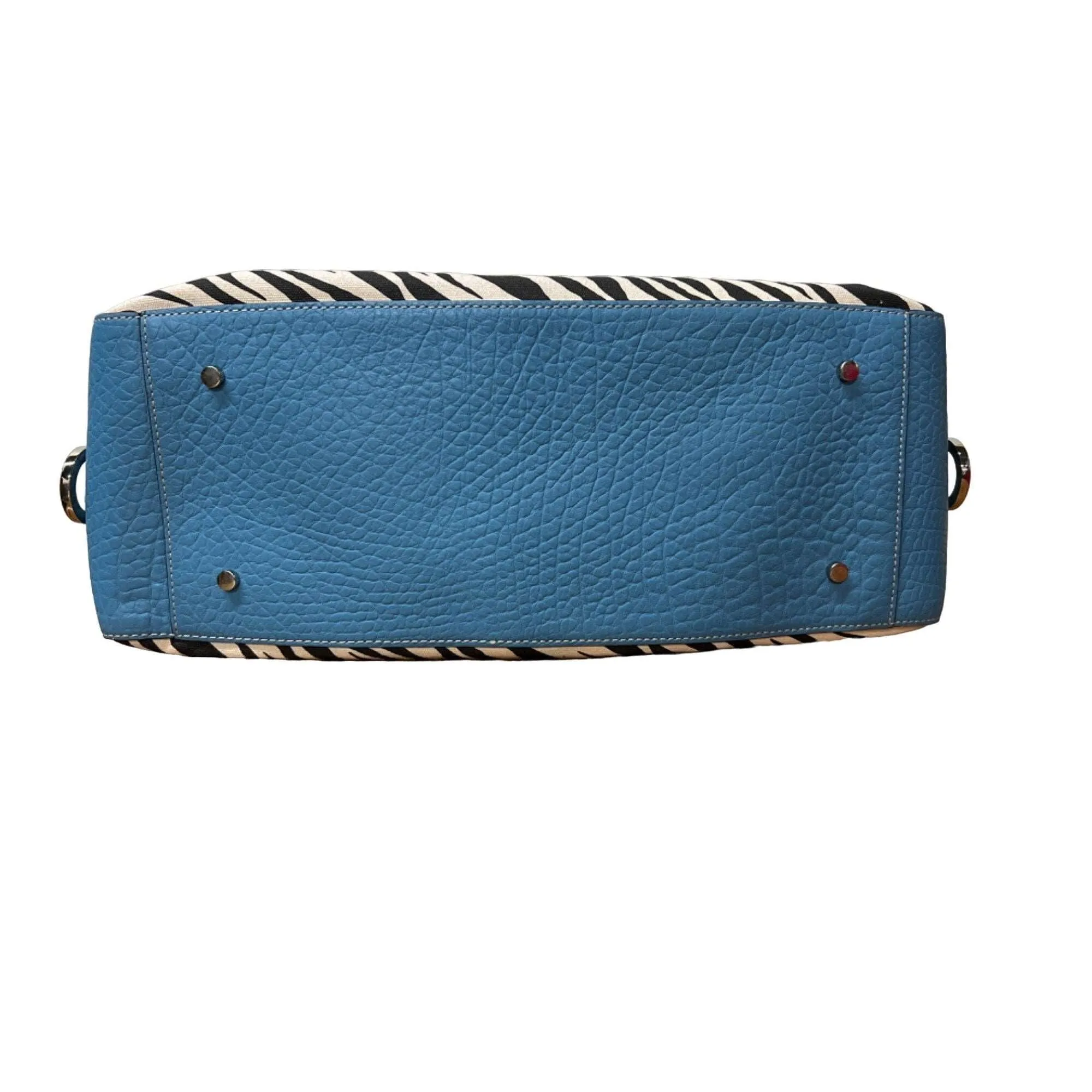 Adrienne Vittadini's Kayla: Eye-catching Blue Zebra Print Satchel Bag